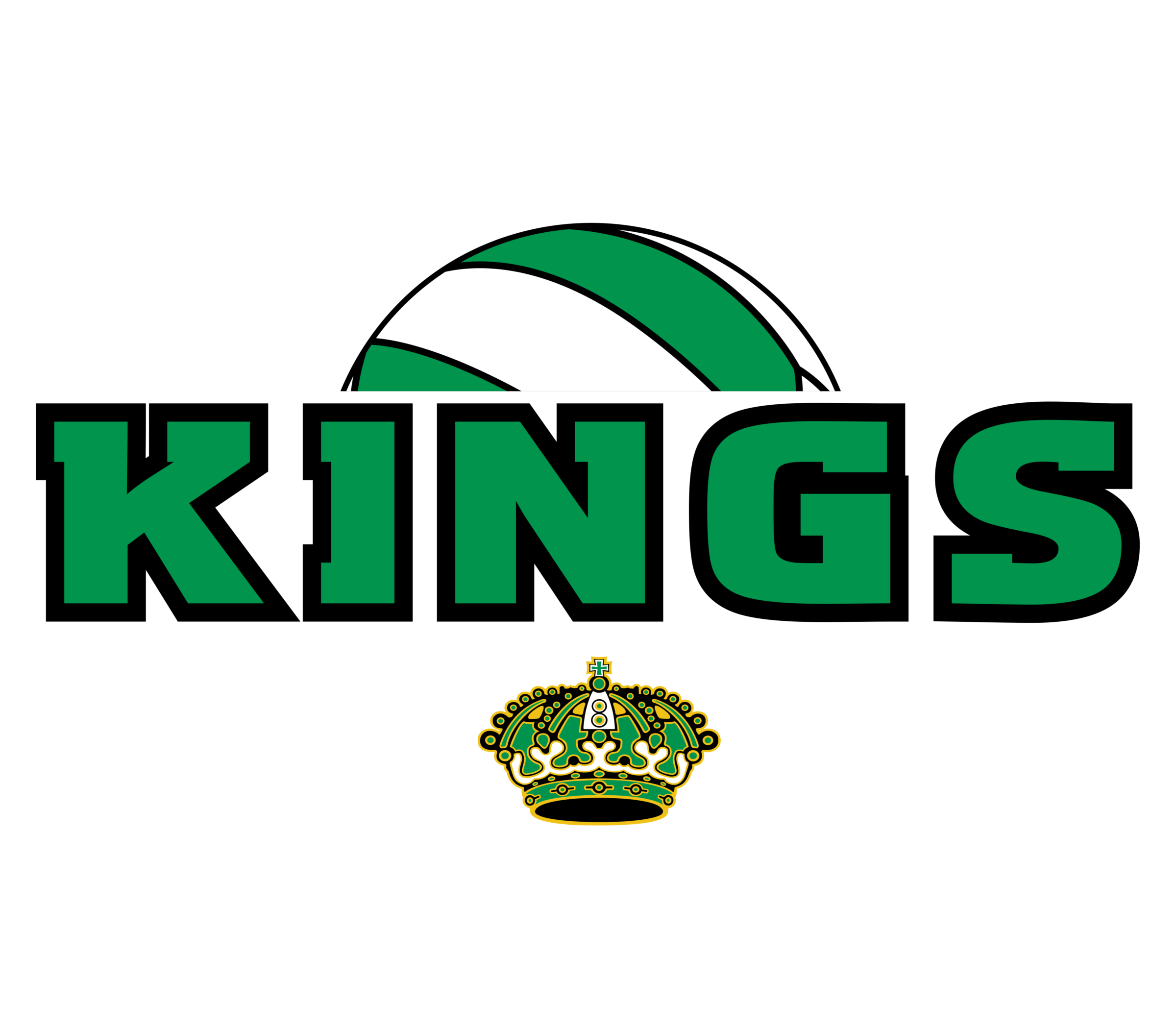 Central Alberta Kings Volleyball
